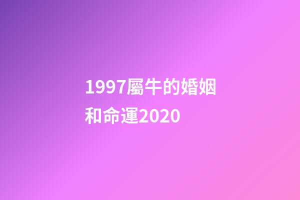 1997屬牛的婚姻和命運2020 (屬牛男1997在2020婚姻)-第1張-觀點-玄機派